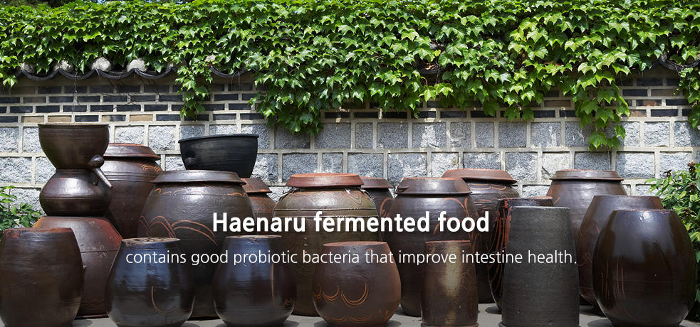 Haenaroo fermented solution contains good probiotic bacteria that improve intestine health.